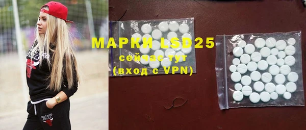 ПСИЛОЦИБИНОВЫЕ ГРИБЫ Медвежьегорск